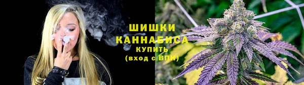 стаф Ладушкин