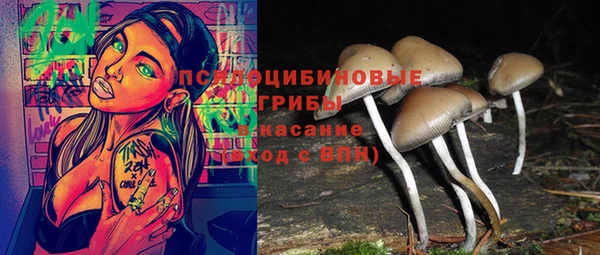 стаф Ладушкин