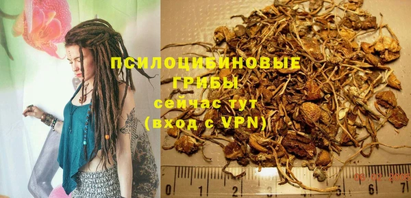 стаф Ладушкин
