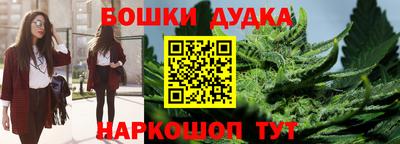 гашик Аргун