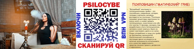 Псилоцибиновые грибы Psilocybe  shop какой сайт  Белгород  цены наркотик 